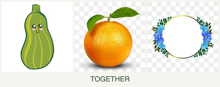 Can you plant zucchini, oranges and zinnias together?