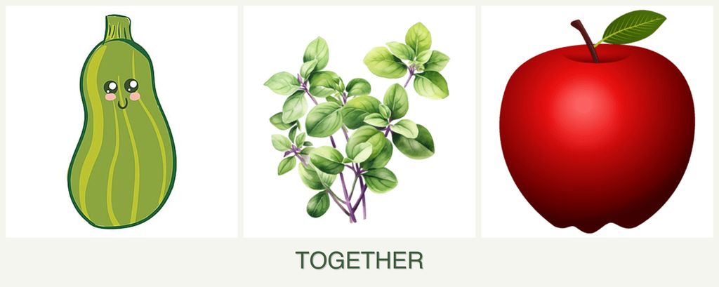 Can you plant zucchini, oregano and apples together?