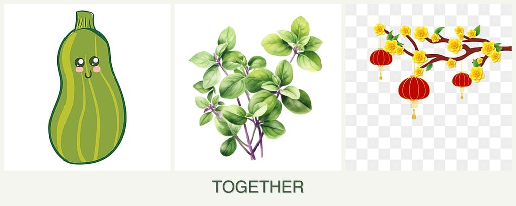 Can you plant zucchini, oregano and apricots together?
