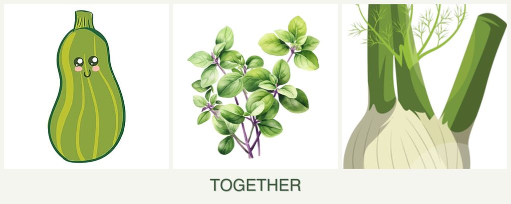Can you plant zucchini, oregano and fennel together?