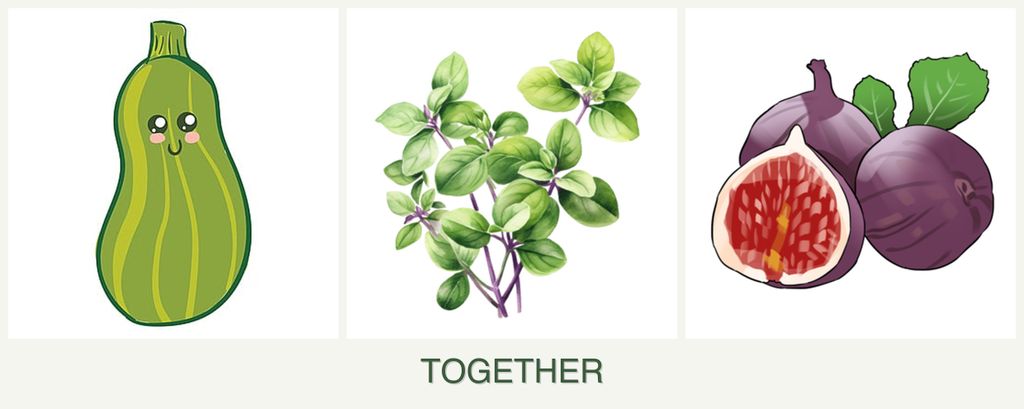 Can you plant zucchini, oregano and figs together?