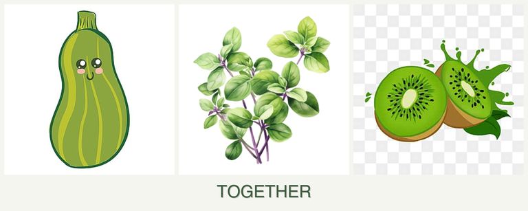 Can you plant zucchini, oregano and kiwi together?