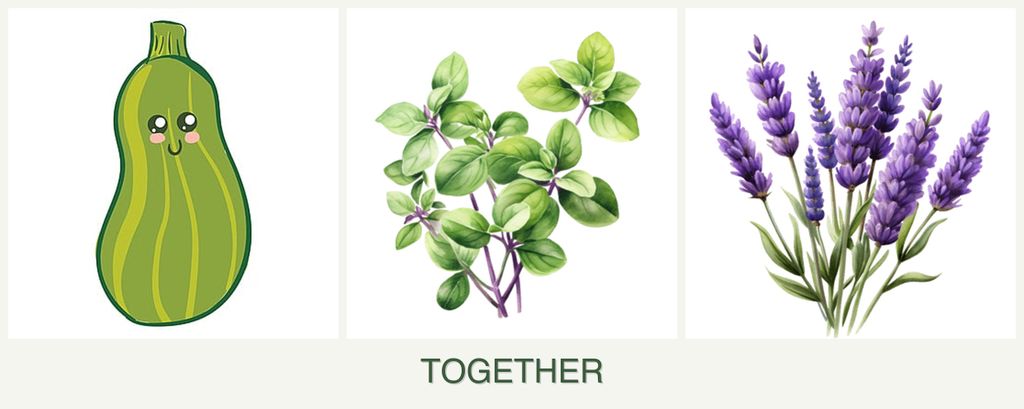 Can you plant zucchini, oregano and lavender together?
