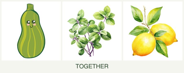 Can you plant zucchini, oregano and lemons together?