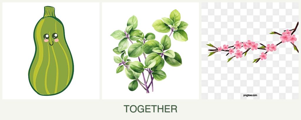 Can you plant zucchini, oregano and peaches together?