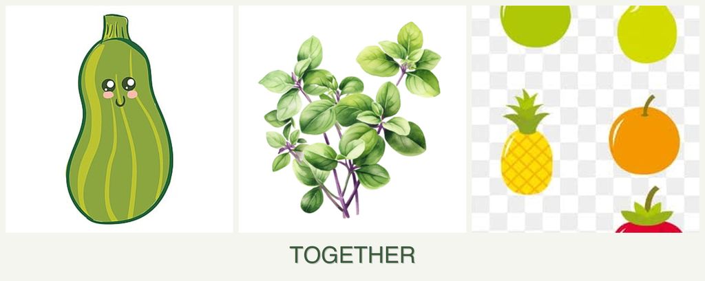 Can you plant zucchini, oregano and pears together?