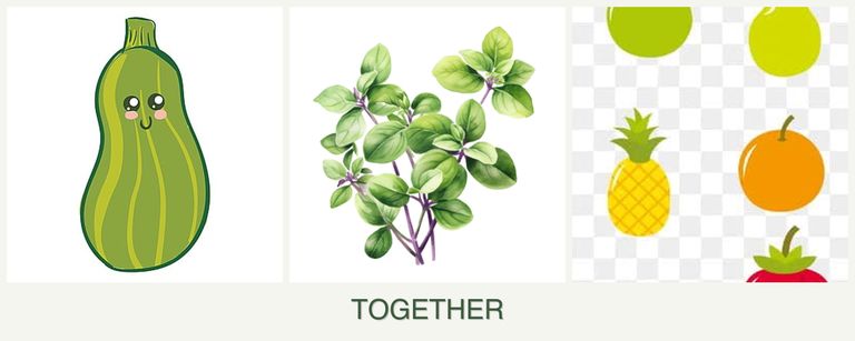 Can you plant zucchini, oregano and pears together?