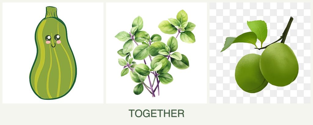 Can you plant zucchini, oregano and plums together?