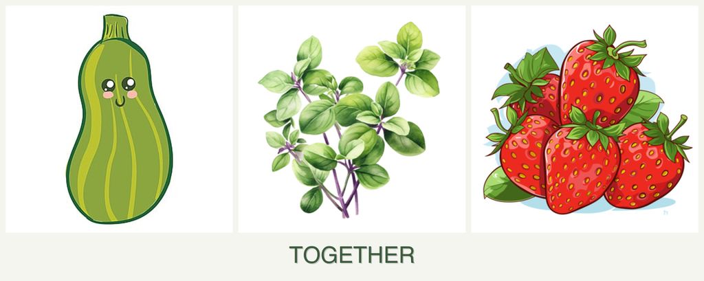 Can you plant zucchini, oregano and strawberries together?