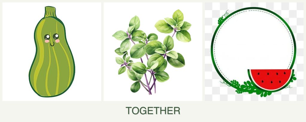Can you plant zucchini, oregano and watermelons together?