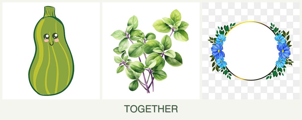 Can you plant zucchini, oregano and zinnias together?