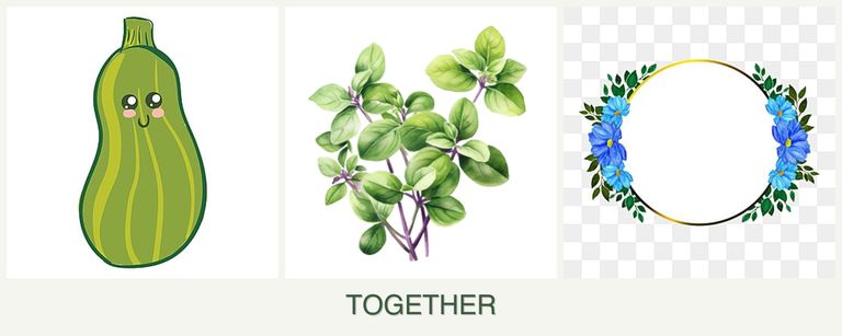 Can you plant zucchini, oregano and zinnias together?
