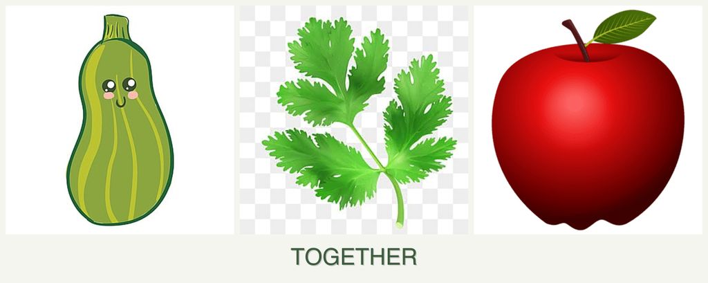 Can you plant zucchini, parsley and apples together?