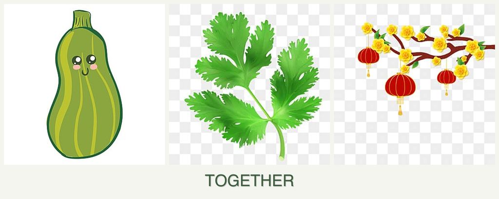 Can you plant zucchini, parsley and apricots together?