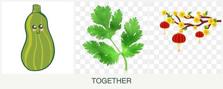 Can you plant zucchini, parsley and apricots together?