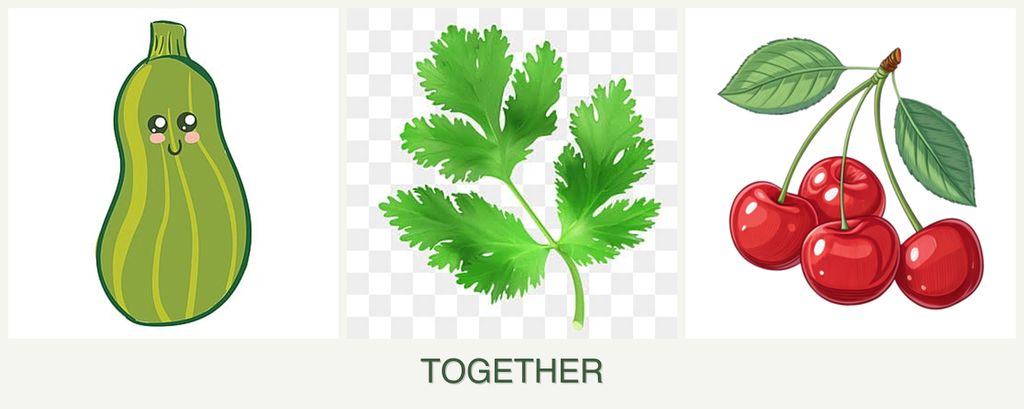 Can you plant zucchini, parsley and cherries together?
