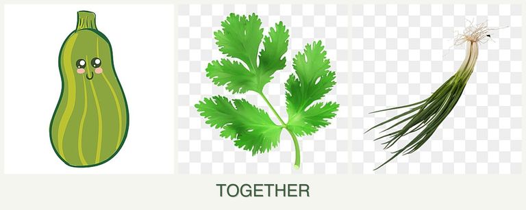 Can you plant zucchini, parsley and chives together?
