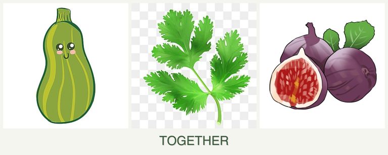 Can you plant zucchini, parsley and figs together?