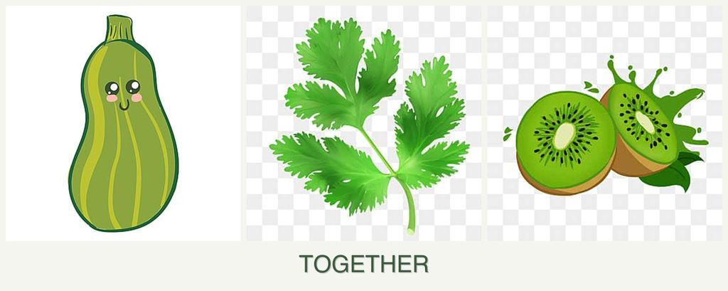 Can you plant zucchini, parsley and kiwi together?