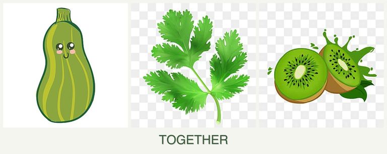 Can you plant zucchini, parsley and kiwi together?