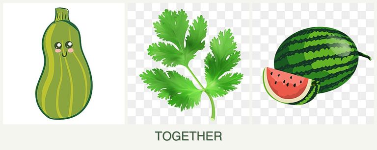 Can you plant zucchini, parsley and melons together?