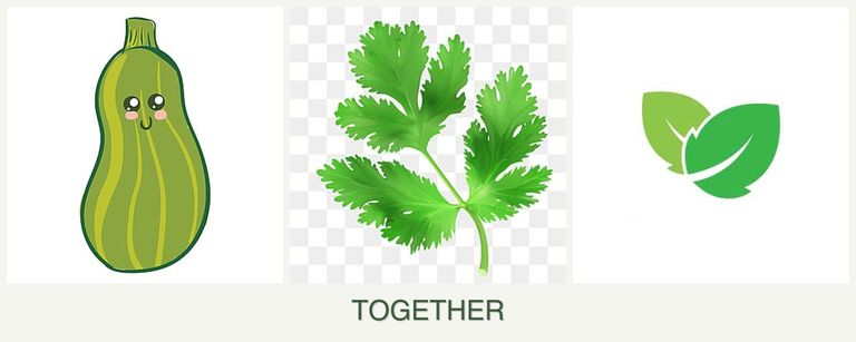 Can you plant zucchini, parsley and mint together?