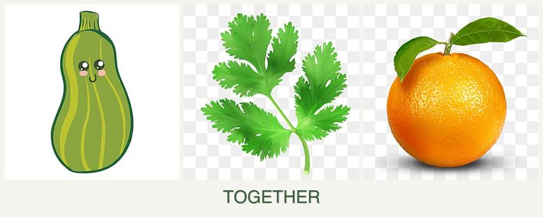 Can you plant zucchini, parsley and oranges together?