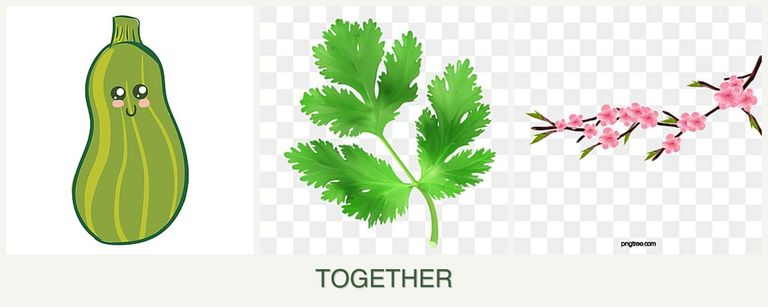 Can you plant zucchini, parsley and peaches together?