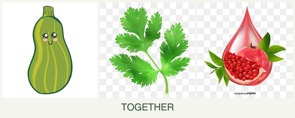Can you plant zucchini, parsley and pomegranates together?