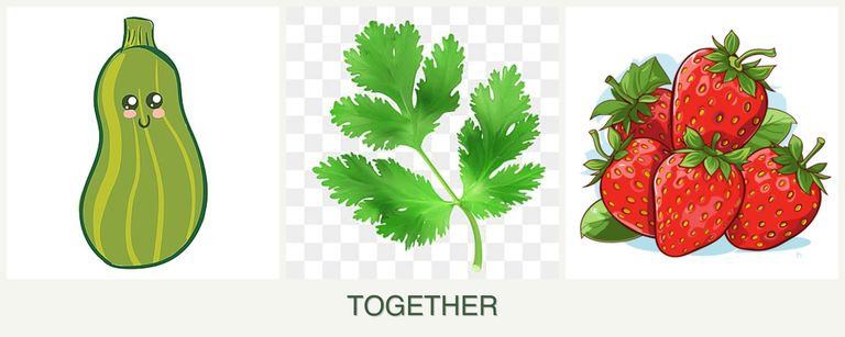 Can you plant zucchini, parsley and strawberries together?