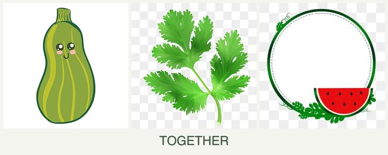 Can you plant zucchini, parsley and watermelons together?