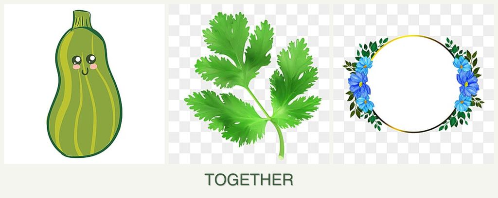 Can you plant zucchini, parsley and zinnias together?