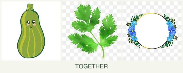 Can you plant zucchini, parsley and zinnias together?