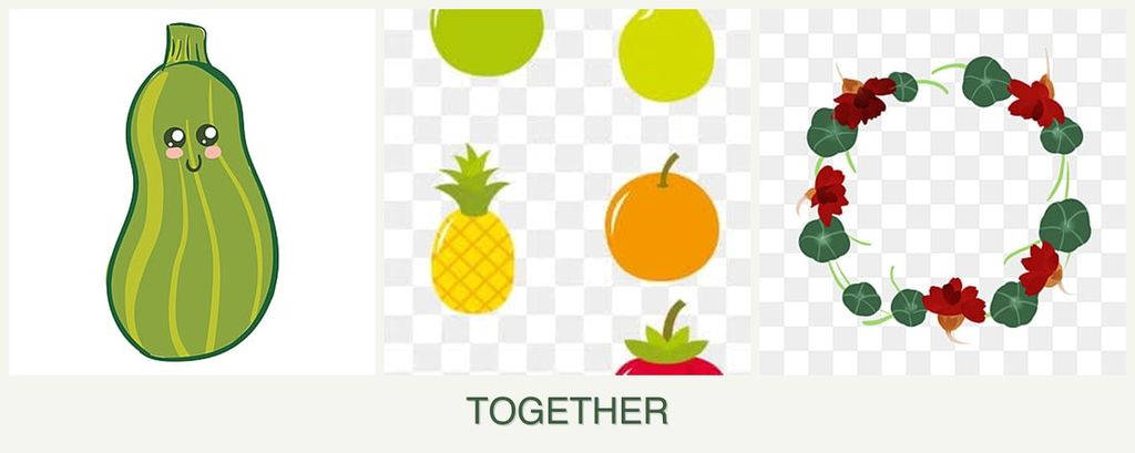 Can you plant zucchini, pears and nasturtiums together?