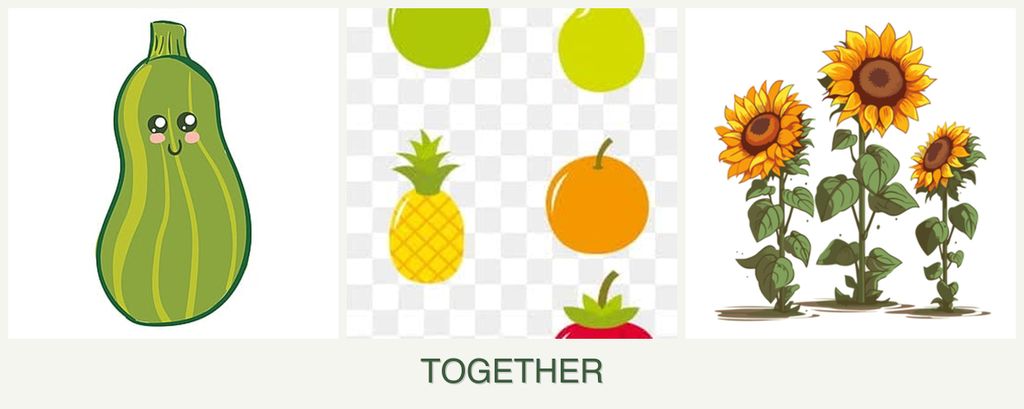 Can you plant zucchini, pears and sunflowers together?