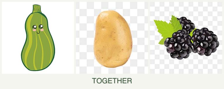 Can you plant zucchini, potatoes and blackberries together?