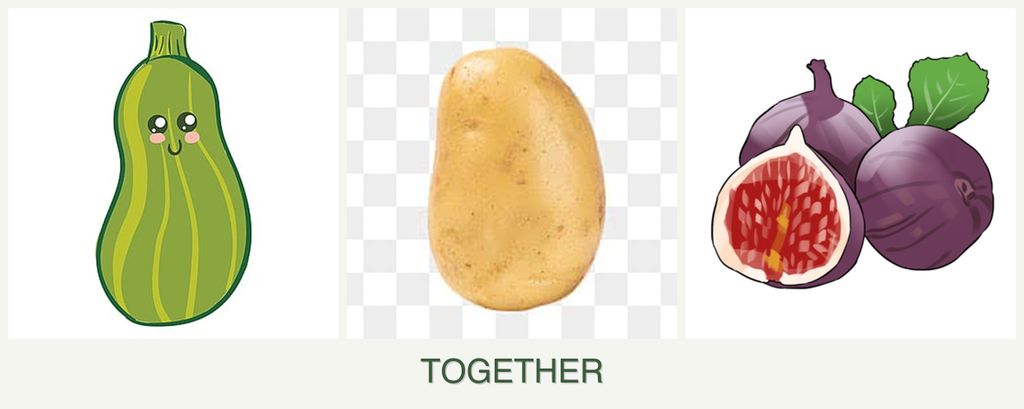 Can you plant zucchini, potatoes and figs together?