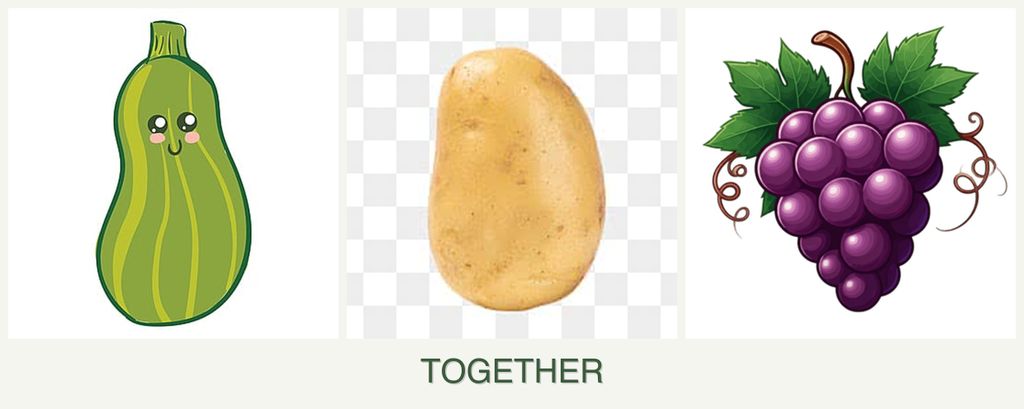 Can you plant zucchini, potatoes and grapes together?