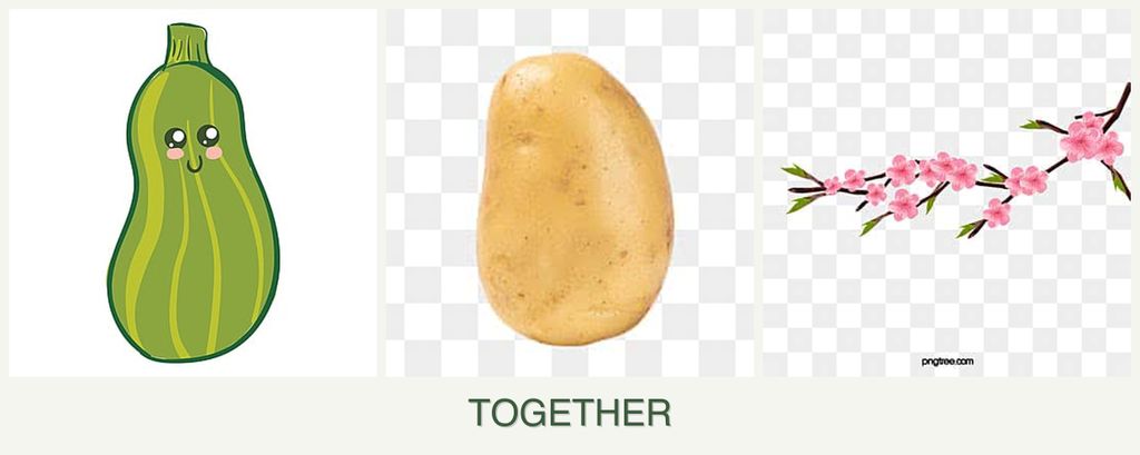 Can you plant zucchini, potatoes and peaches together?
