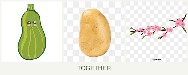Can you plant zucchini, potatoes and peaches together?
