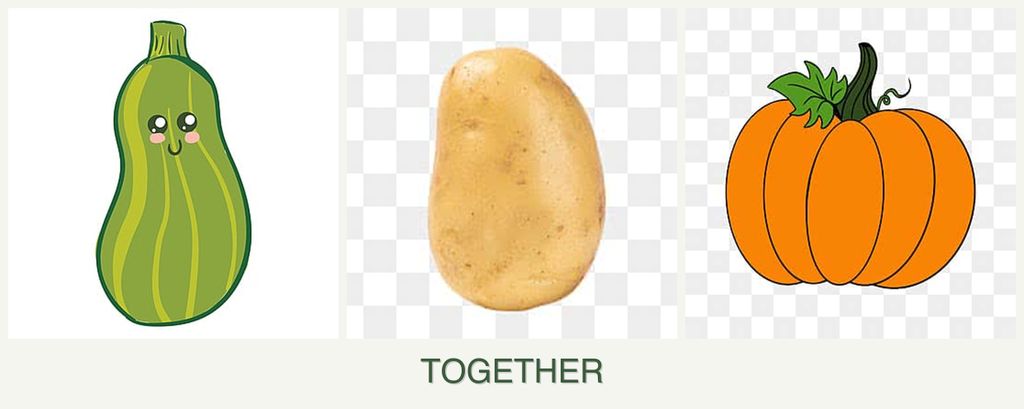 Can you plant zucchini, potatoes and pumpkin together?