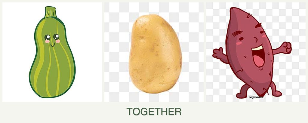 Can you plant zucchini, potatoes and sweet potatoes together?
