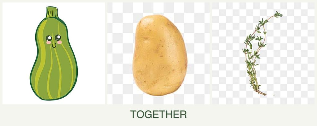 Can you plant zucchini, potatoes and thyme together?