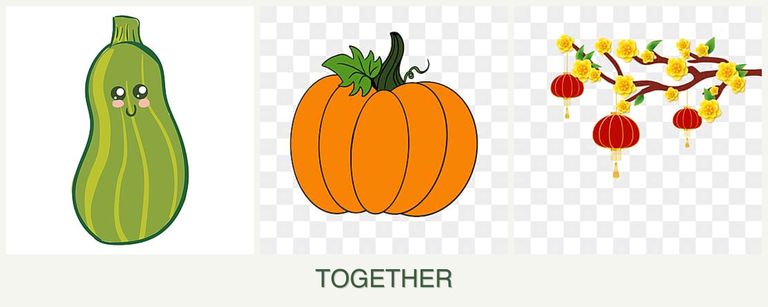 Can you plant zucchini, pumpkin and apricots together?