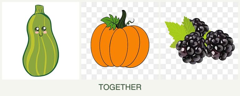 Can you plant zucchini, pumpkin and blackberries together?