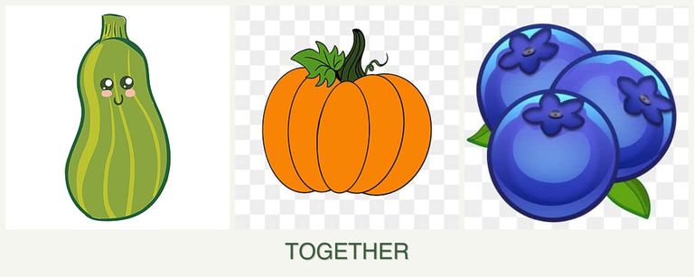Can you plant zucchini, pumpkin and blueberries together?