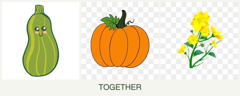 Can you plant zucchini, pumpkin and calendula together?
