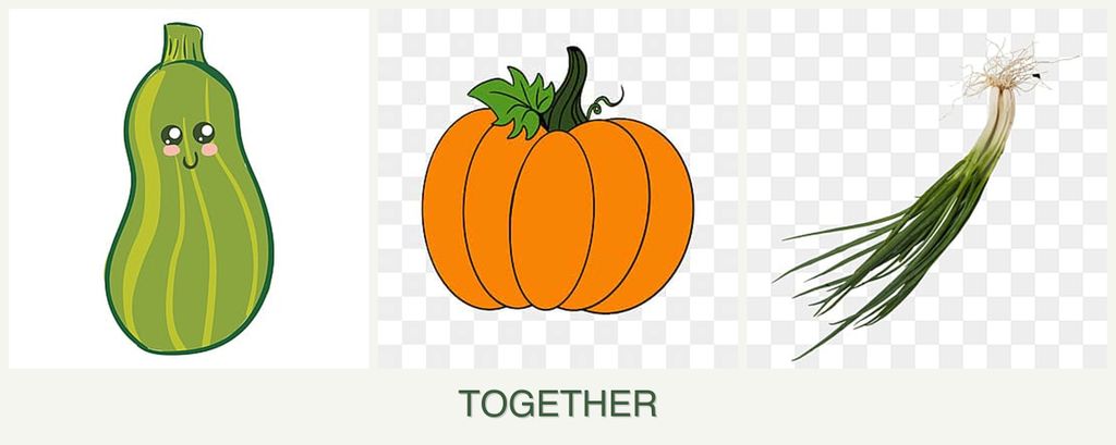 Can you plant zucchini, pumpkin and chives together?