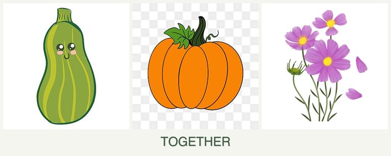 Can you plant zucchini, pumpkin and cosmos together?