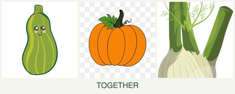 Can you plant zucchini, pumpkin and fennel together?